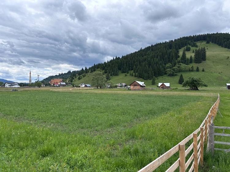 Teren de 5000 mp, în Dorna-Arini