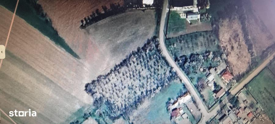 Teren de 4016 mp, în Crângurile