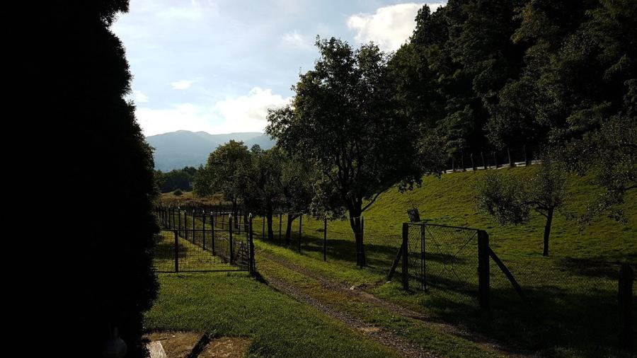 Teren agricol intravilan de 2400 mp, în Ibănești
