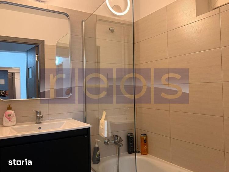 Apartament cu 3 camere, mobilat în Basarabia