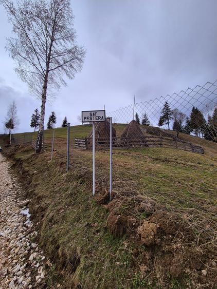 Teren agricol extravilan de 13570 mp, în Peștera