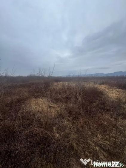 Teren de 8200 mp, în Tăuții-Măgherăuș