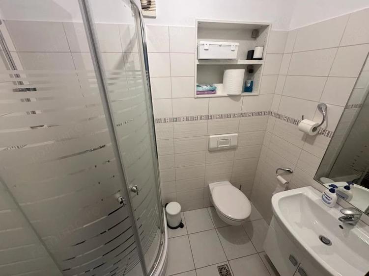 Inchiriere vila pentru birouri - 14