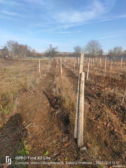 Teren în Valea Călugărească