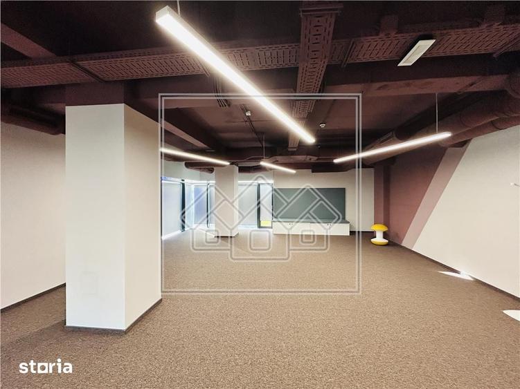 Spațiu comercial, de 330 mp, în Trei Stejari