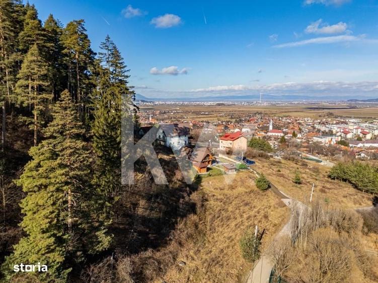 Spațiu comercial, în Poiana Angelescu