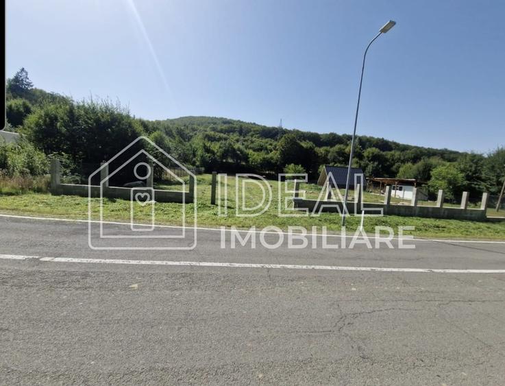 Teren agricol extravilan de 2300 mp, în Cârțișoara