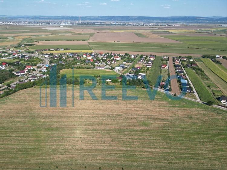 Teren Construcții intravilan de 7366 mp, în Sărata (Sărata)