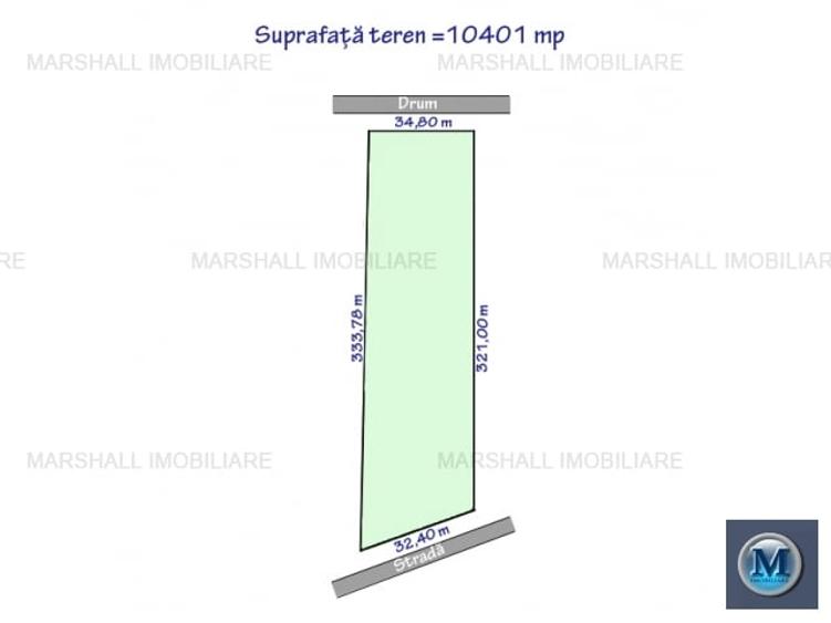 Teren Construcții intravilan de 10401 mp, în Albert
