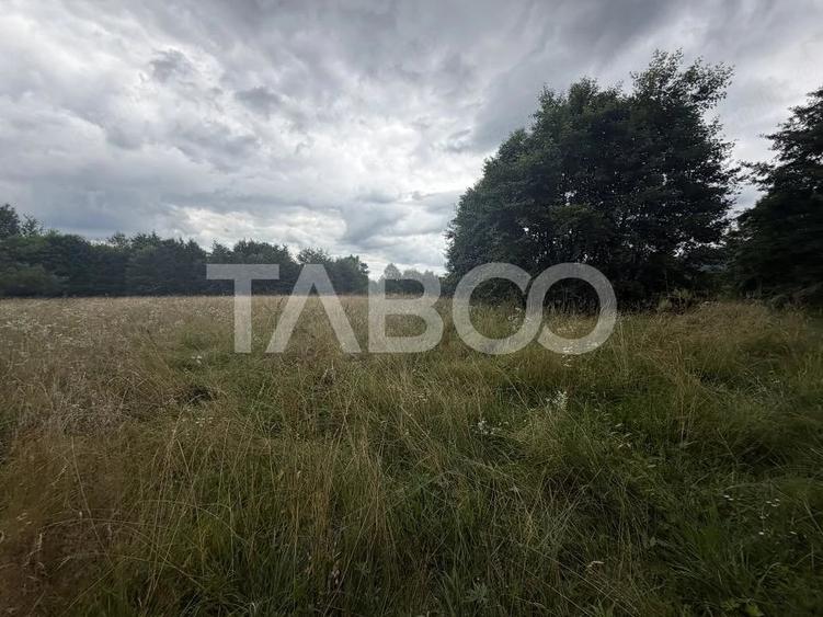 Teren de 6000 mp, în Dejani