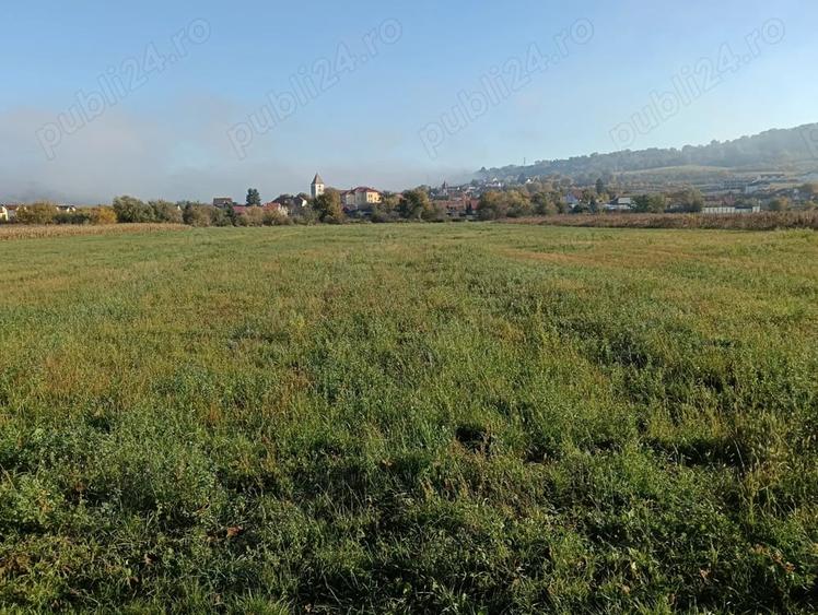 Teren de 3800 mp, în Central