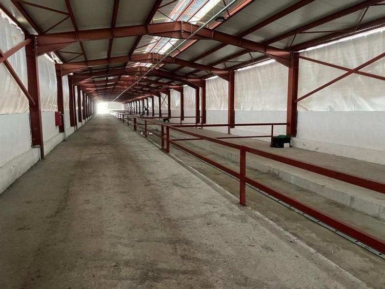 Spațiu industrial, de 3,280 mp, în Căldăraru