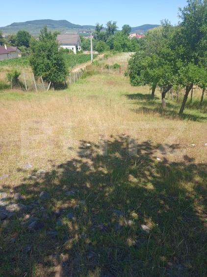 Teren Construcții intravilan de 1938 mp, în Nord-Est