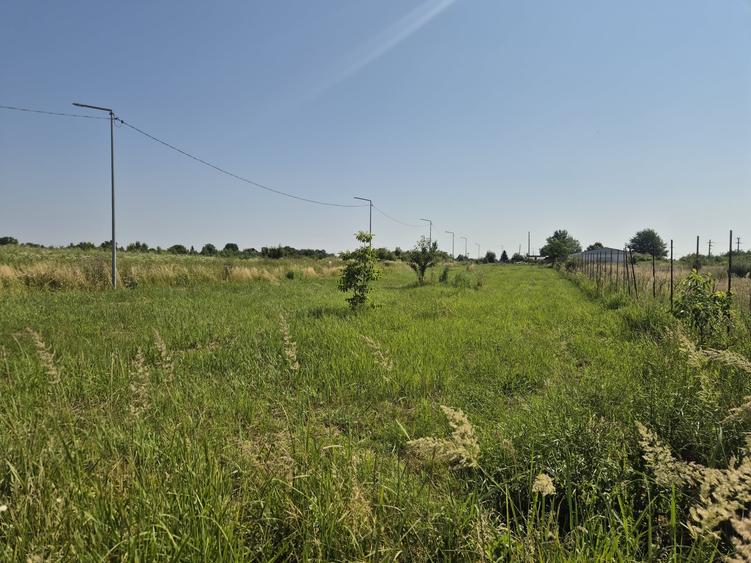 Teren Construcții intravilan de 2500 mp, în Izvorani