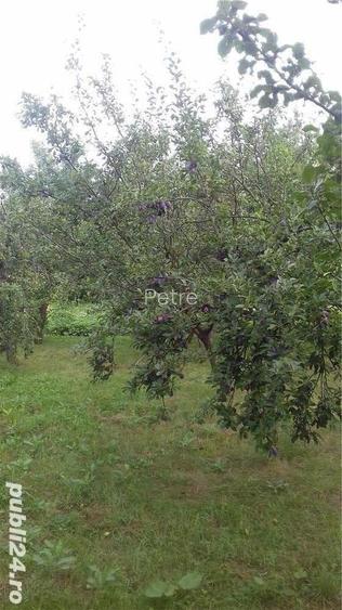 Casa cu teren in suprafata de 6.800m2