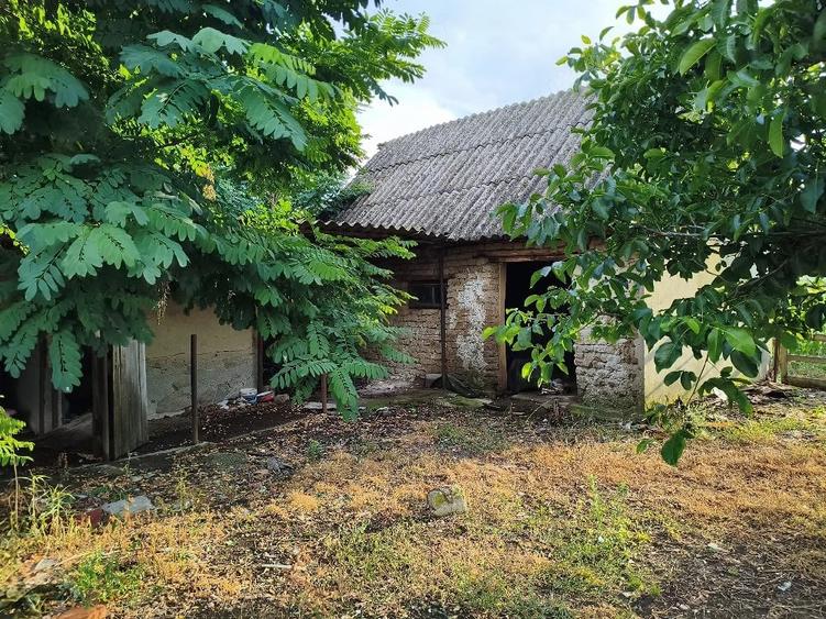 Casă cu Teren 4869 Mp în Abram