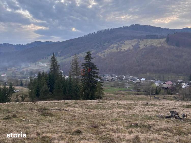 Teren de 1000 mp, în Mălini