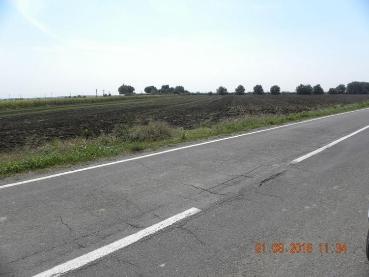 Teren de 5000 mp, în Cazasu