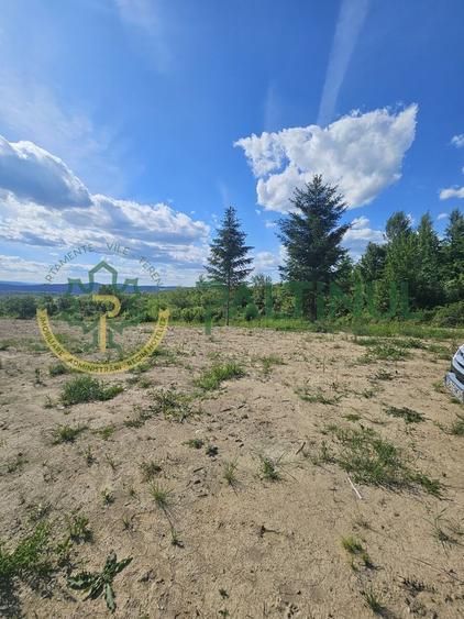 Teren agricol extravilan de 3000 mp, în Exterior Vest