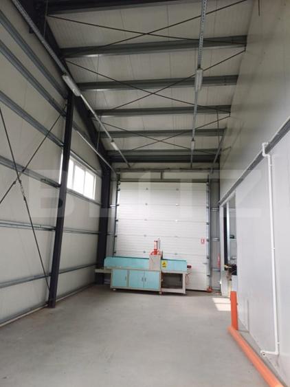 Hala depozitare/productie, 340 mp, Mitocasi - 6