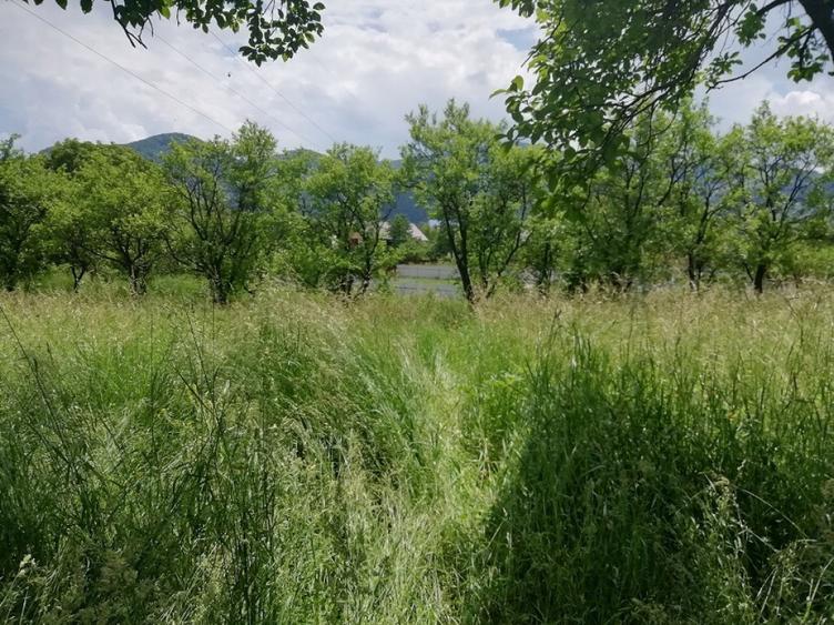Teren de 1800 mp, în Alexandru cel Bun