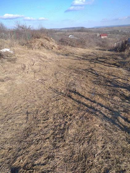 Teren de 1000 mp, în Daia