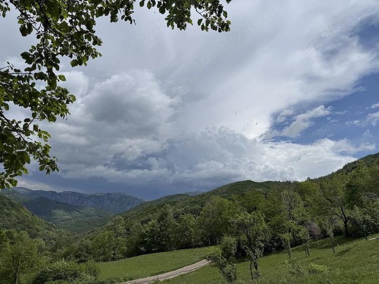 Teren de 10000 mp, în Prisacina