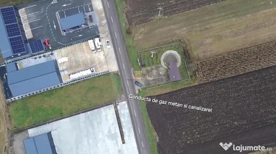 Teren de 14066 mp, în Mihoveni