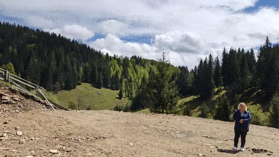 Teren de 1000 mp, în Băișoara