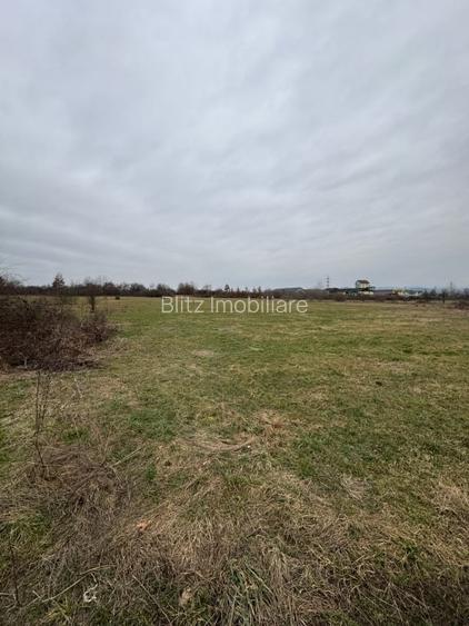 Teren intravilan 72 ari, front generos 54 ml – Zona Două Veverițe