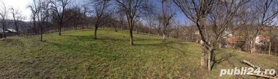 Teren de 1660 mp, în Teișani