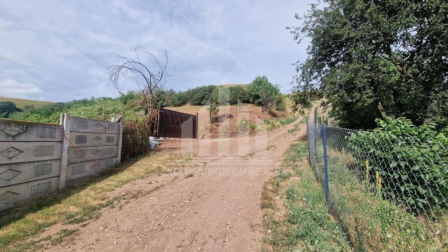 Teren Construcții intravilan de 2000 mp, în Șard