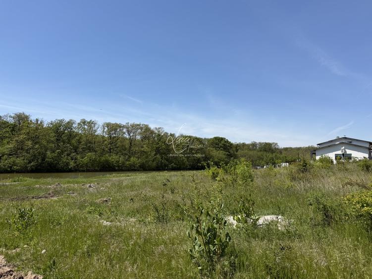 Teren Construcții intravilan de 7500 mp, în Brănești