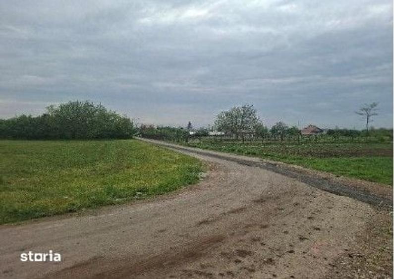 Teren de 10000 mp, în Valea Râmnicului