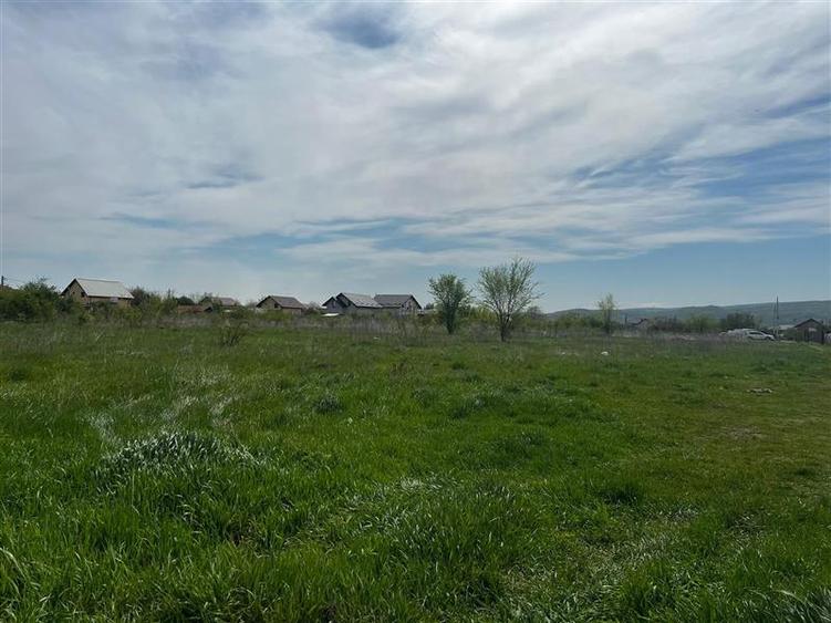 Teren Construcții intravilan de 4016 mp, în Dancu