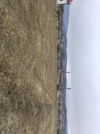 Teren de 3000 mp, în Vața de Jos