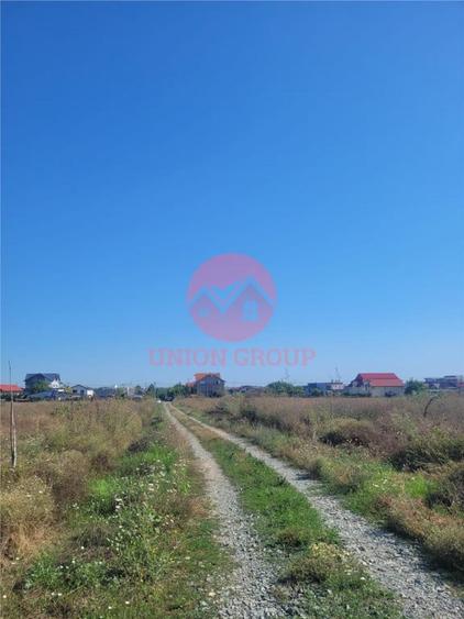 Teren Costinesti 1000 mp, Aproape de Plaja si de Nibiru, Ide - 11