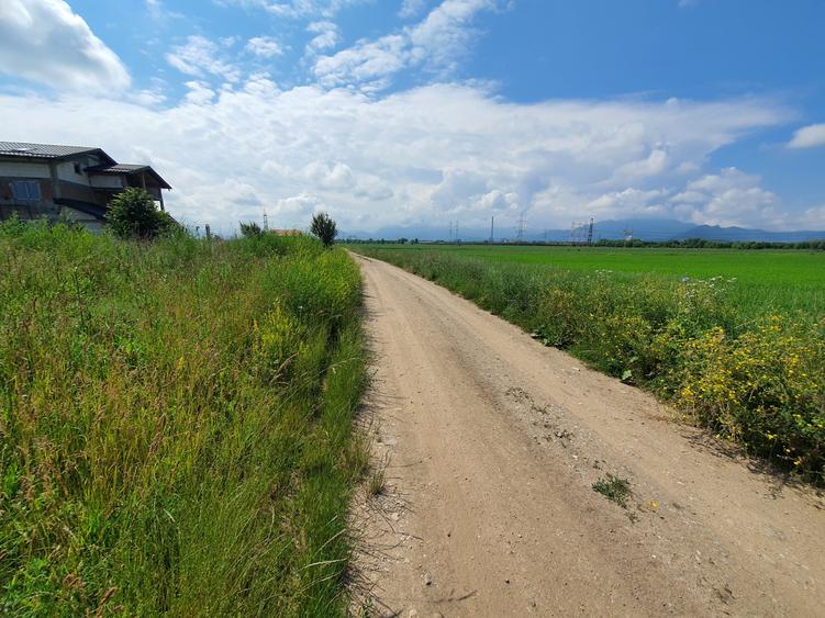 Teren Construcții intravilan de 4300 mp, în Sânpetru
