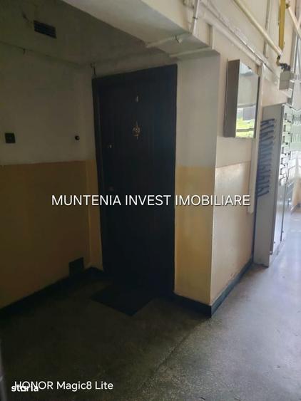 Apartament cu 2 camere în Frații Golești
