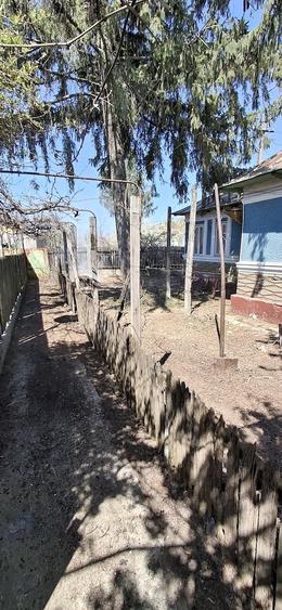 Casă cu Teren 1506 Mp în Brădeanu
