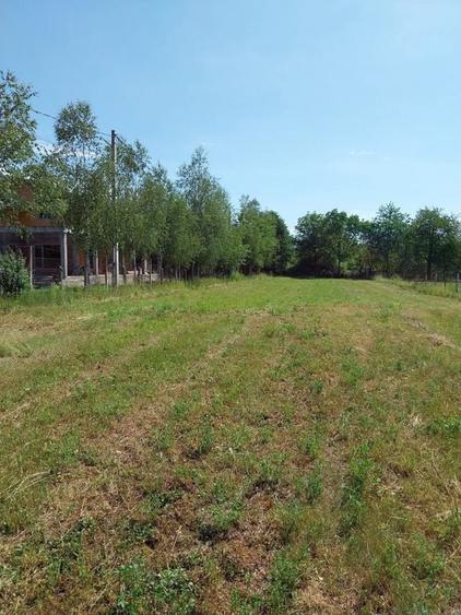 Teren de 12500 mp, în Drajna