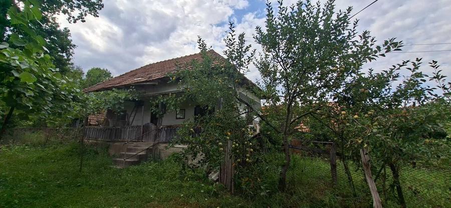 Teren de 10000 mp, în Foleștii de Jos