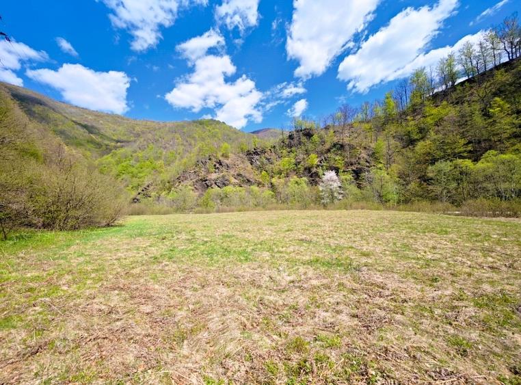 Vând teren intravilan Tarnița - Risca - Mărișel  jud. Cluj - 5