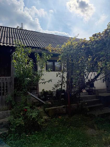 Casă cu 3 camere în Gârleni