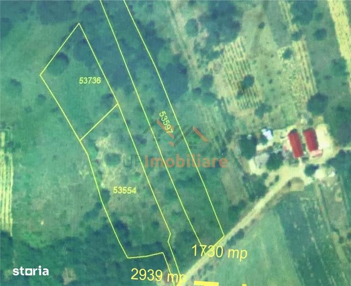Teren de 1730 mp, în Tileagd