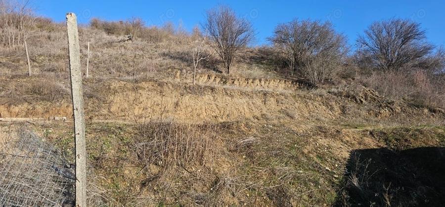Teren de 868 mp, în Schitu