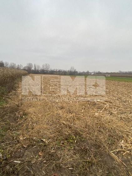 Teren Construcții intravilan de 6400 mp, în Frătăuții Noi