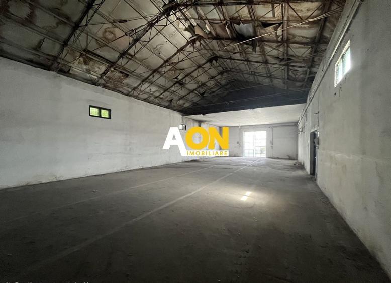 Spațiu industrial, de 250 mp, în Ampoi 1