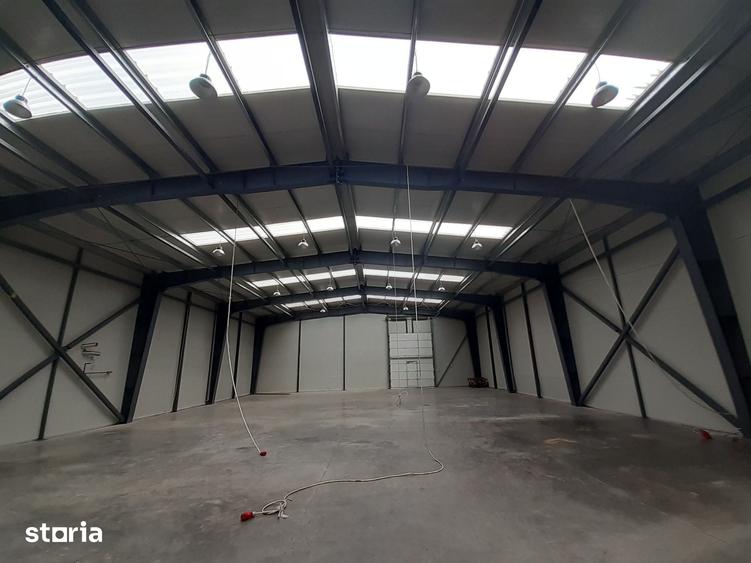 Hale de 500mp si 600mp in zona Progresul, Jilava - 2