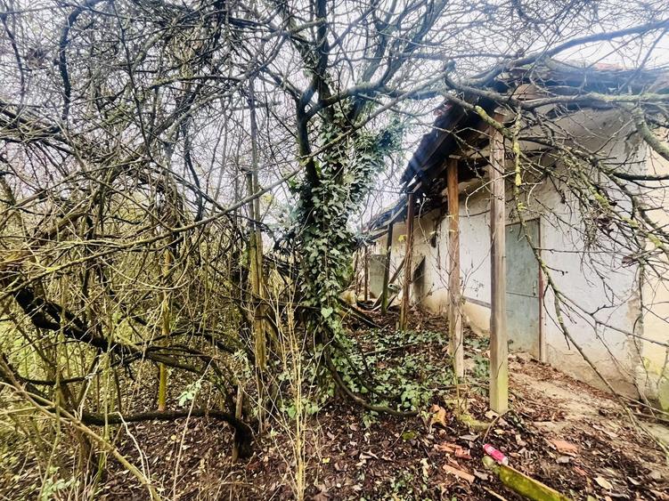 Teren Construcții intravilan de 1463 mp, în Ghizela